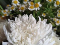 -东华林公墓(东丽殡葬服务站)