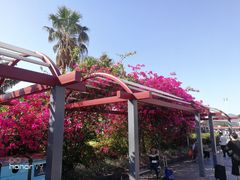 -珠海拱北口岸