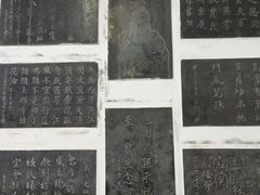 -荣国府