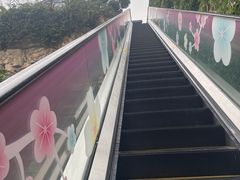 -磁器口古镇