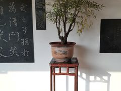-成都杜甫草堂博物馆