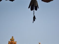 -药王庙(安国市)
