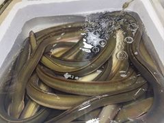 -新农都水产市场