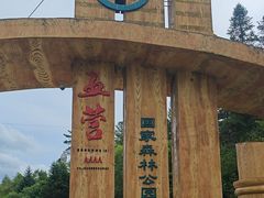 -五营红松林海景区