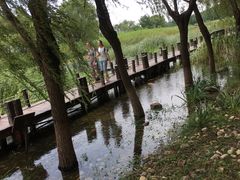 -苏州吴中太湖旅游区