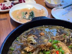 -老板恋上鱼(恒隆广场店)