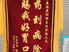 -美迦爱动物医院·夜诊(朝阳路诊疗中心)