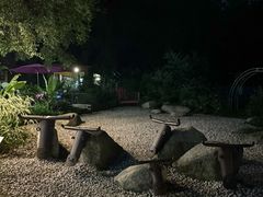 -莲花山公园