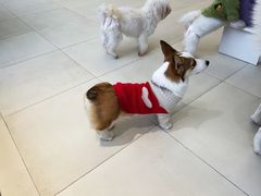 -怪兽屋·羊驼·猫咖·狗咖(俊华广场店)