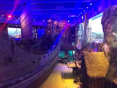 -华夏文旅海洋公园