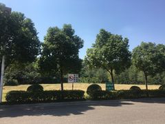 -羊山湖公园