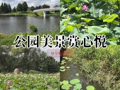 -羊亭河湿地公园