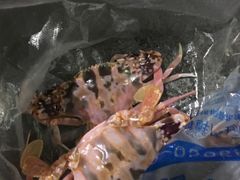 活的蟹-亚龙湾8号(丁村万人海鲜广场店)