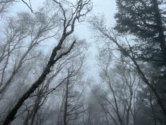 -白草畔自然风景区