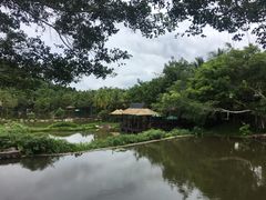 -呀诺达热带雨林