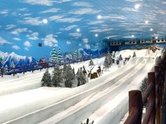 -世界之窗阿尔卑斯冰雪世界