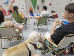 -绿壁虎攀岩基地(Tcar店)