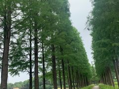 -圩墩遗址公园