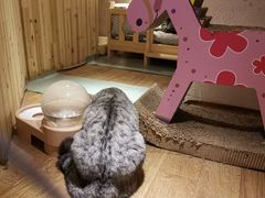 -有才叔北京时间涮肉(紫薇尚层店)