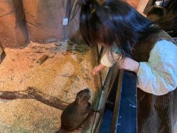 -酷嗒动物文化乐园(cutezoo西溪乐天城店)