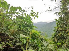 -梧桐山风景名胜区