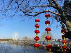 -无锡蠡湖国家湿地公园-蠡园
