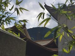-深圳仙湖植物园-停车场