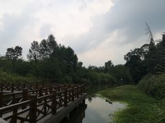 -桤木河湿地公园