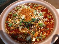 -向川南·水煮鱼·川菜(和平里店)