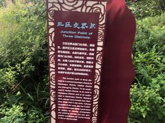 -阳台山自然风景区