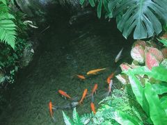 -颐而康·足疗·按摩·艾灸·SPA(金沙北路店)