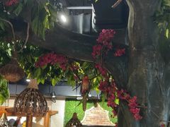 -草原塞蛮羊火锅城(港湾店)