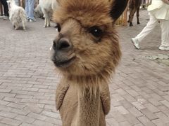 -水上乐园·欢乐世界