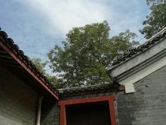 -柳侯公园