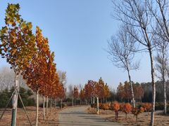 -东郊湿地公园