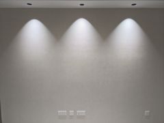-立邦(汶水红星美凯龙专卖店)