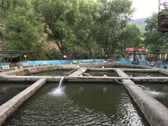-双新垂钓园