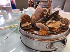 小屉蒸扇贝-京秀缘蒸汽海鲜农家菜大馅蒸饺