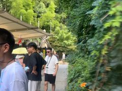 -将军关探险漂流