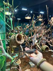 -Zoolung Zoolung动物主题公园(海信广场店)