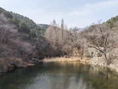 -金孔雀德宏傣味餐馆(魏公村店)