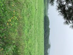 -秦始皇帝陵博物院-丽山园