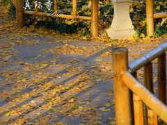 -西湖风景区十里琅珰-五云山