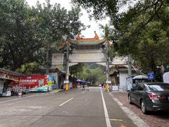 -南海湾森林生态园
