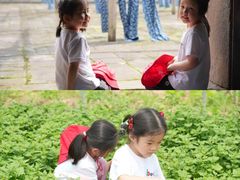 -金豆子幼稚园