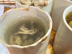 猪肚罐-广达眼镜炖罐(广达店)