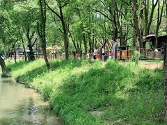 -WeLope紫金山探险公园