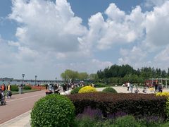 -丁香湖公园