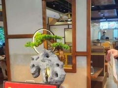 -三煮纸包鱼(青岛总店)