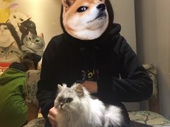 -万小咖.猫咖(中山路天虹店)